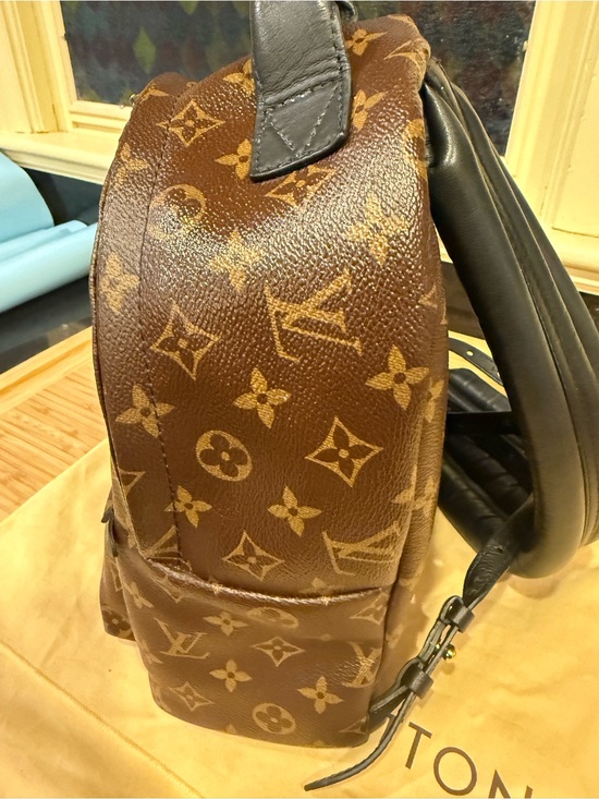 100% authentic  gorgeous !! Louis Vuitton Palm Springs  Backpack main image 6